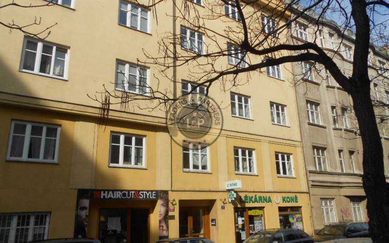 Prodej, Byty 2+1, Lukášova, Praha 3 - Žižkov