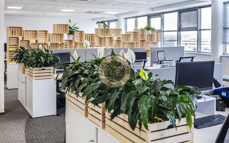 Pronájem, Kanceláře, 929m² - Praha - Nusle